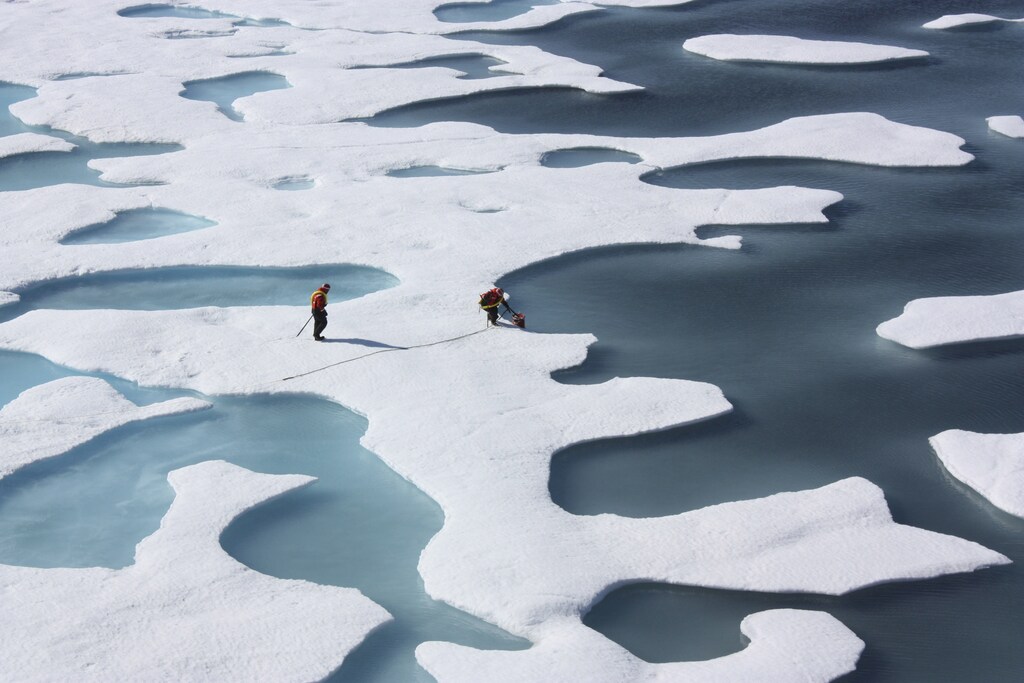 The crew of the U.S. Coast Guard Cutter Healy, in the midst of their ICESCAPE mission, retrieves supplies for some mid-mission fixes dropped by parachute from a C-130 in the Arctic Ocean in this July 12, 2011 NASA handout photo obtained by Reuters June 11, 2011. Scientists punched through the sea ice to find waters richer in phytoplankton than any other region on earth. Phytoplankton, the base component of the marine food chain, were thought to grow in the Arctic Ocean only after sea ice had retreated for the summer. Scientists now think that the thinning Arctic ice is allowing sunlight to reach the waters under the sea ice, catalyzing the plant blooms where they had never been observed. REUTERS/Kathryn Hansen/NASA (UNITED STATES - Tags: ENVIRONMENT SCIENCE TECHNOLOGY) THIS IMAGE HAS BEEN SUPPLIED BY A THIRD PARTY. IT IS DISTRIBUTED, EXACTLY AS RECEIVED BY REUTERS, AS A SERVICE TO CLIENTS. FOR EDITORIAL USE ONLY. NOT FOR SALE FOR MARKETING OR ADVERTISING CAMPAIGNS - TM3E86B0WCN01
