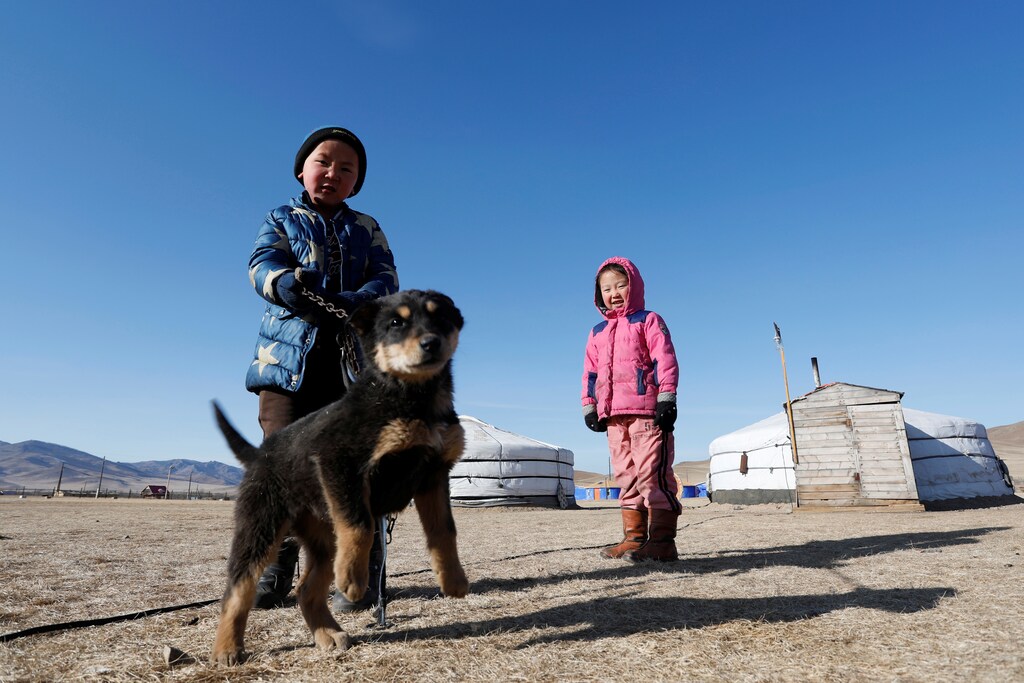 Ukhaanzaya Gankhuyag, 5, and Namuun (R), 5, play with a dog outside Mongolian gers in Tov province outside Ulaanbaatar, Mongolia January 30, 2019. Picture taken January 30, 2019. REUTERS/B. Rentsendorj - RC130A85DD70