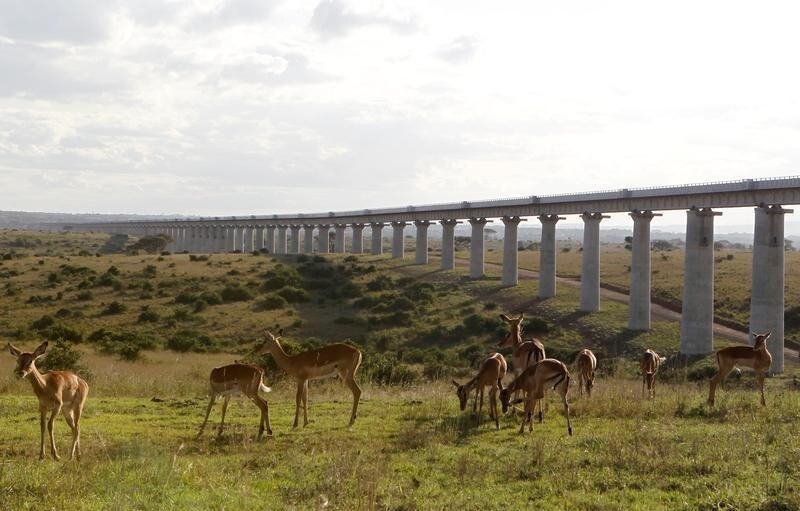 A group of impala graze near the elevated railway line that allows movement of animals below the Standard Gauge Railway (SGR) line linking Nairobi and Naivasha inside the Nairobi national park in Nairobi, Kenya October 16, 2019. REUTERS/Njeri Mwangi - RC157C8B6A20