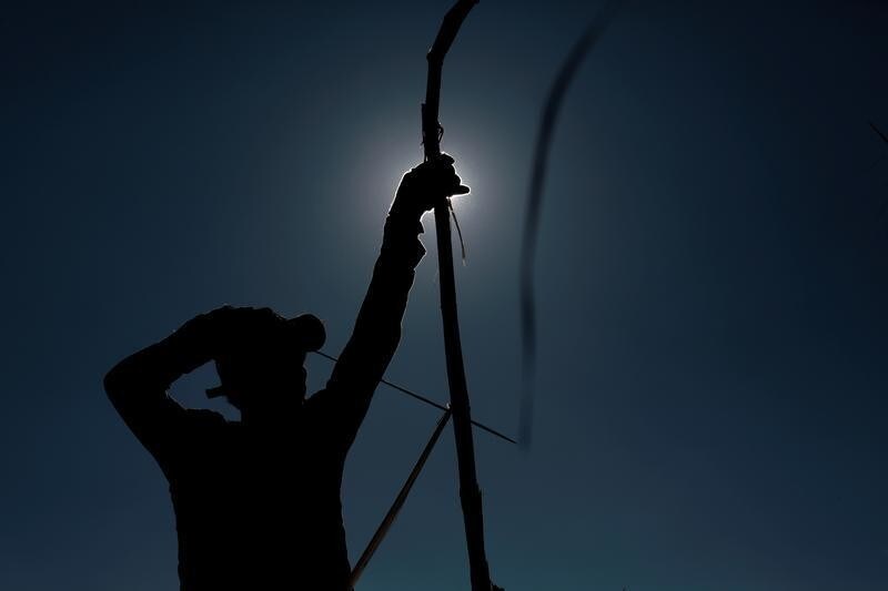 A worker harvests sugar cane at a plantation in Grecia, Costa Rica January 25, 2019. REUTERS/Juan Carlos Ulate - RC17B8A6C5C0