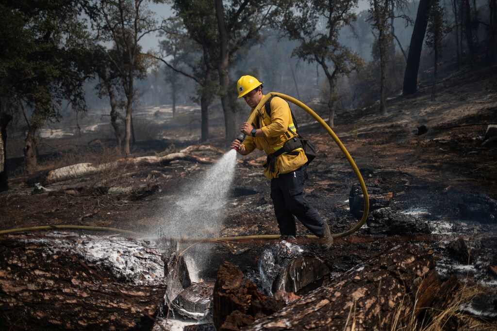 En total, casi un millón de acres han sido ennegrecidos, según Cal Fire.