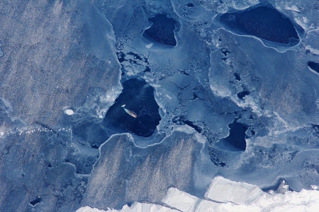 plastic-pollution-climate-change