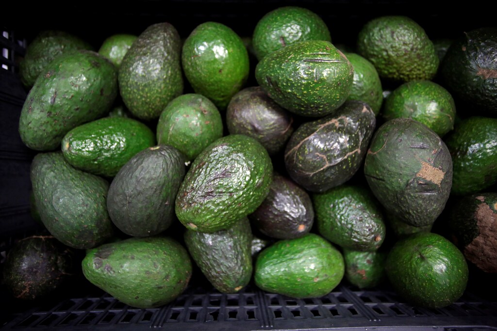 Avocados are on display for sale at the wholesale market "Central de Abastos" in Mexico City, Mexico January 11, 2019. Picture taken January 11, 2019. REUTERS/Daniel Becerril - RC1F309E9C70