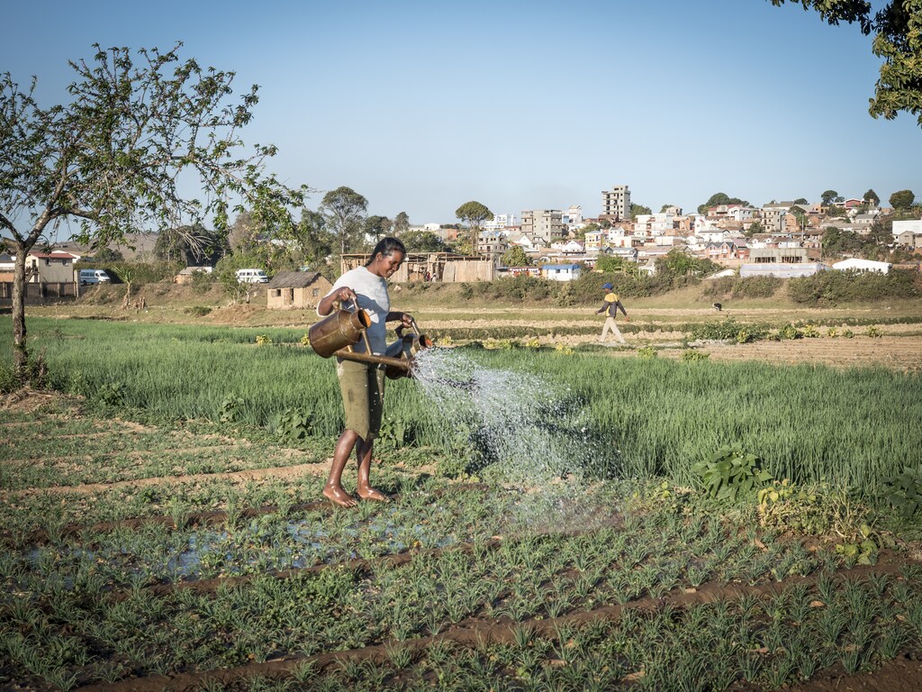 If we can improve soil health on a global scale, it is possible to feed the planet's growing population without compromising the fight against climate change.