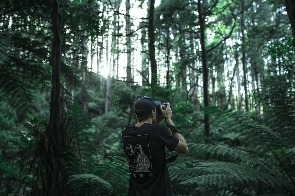 Forests Climate Change Environment and Natural Resource Security