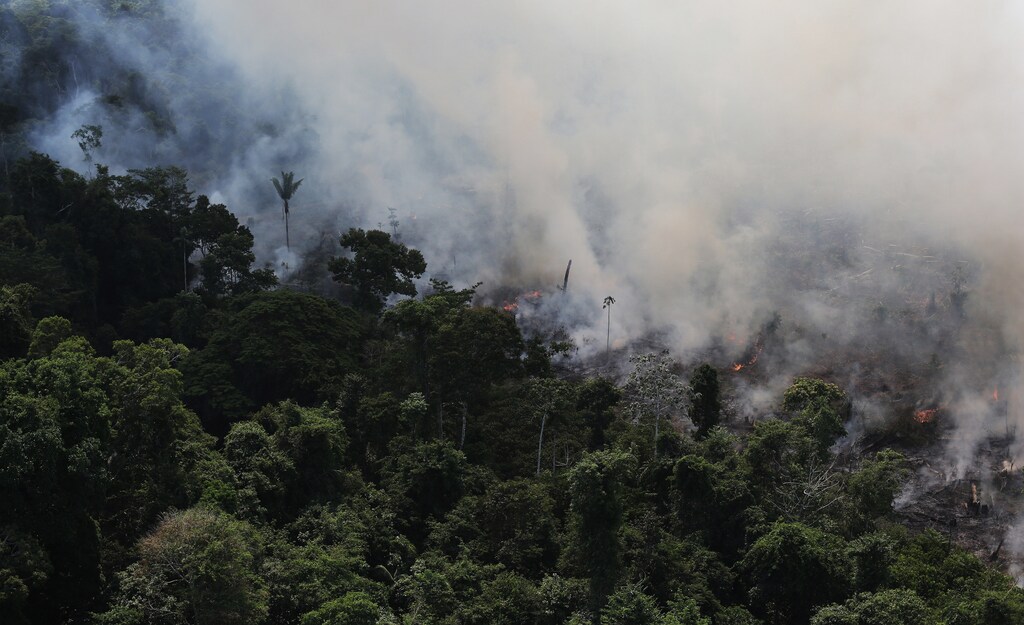 An aerial view of a tract of Amazon jungle burning as it is being cleared by loggers and farmers near the city of Novo Progresso, Para state, September 23, 2013. The Amazon rainforest is being eaten away at by deforestation, much of which takes place as areas are burnt by large fires to clear land for agriculture. Initial data from Brazil's space agency suggests that destruction of the vast rainforest - the largest in the world - spiked by more than a third over the past year, wiping out an area more than twice the size of the city of Los Angeles. If the figures are borne out by follow-up data, they would confirm fears of scientists and environmental activists who warn that farming, mining and Amazon infrastructure projects, coupled with changes to Brazil's long-standing environmental policies, are reversing progress made against deforestation. Environmental issues will be under the spotlight as a United Nations Climate Change Conference opens in Warsaw, Poland on November 11. Picture taken on September 23, 2013. REUTERS/Nacho Doce (BRAZIL - Tags: ENVIRONMENT POLITICS AGRICULTURE) - RTX159YJ