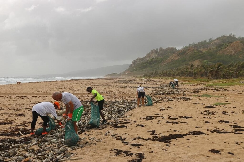 image of volunteers picking up plastic waste on a beach