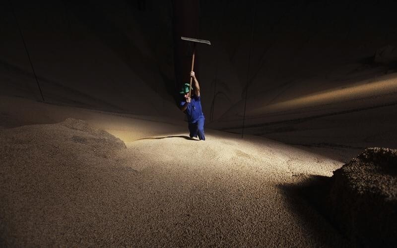 A man works in a mountain of soybeans stocked in the city of Sorriso, Mato Grosso state September 27, 2012. Farmers in Brazil's grain belt started planting after early showers set the scene for what is expected to be a bumper corn and record soy crop, officials at producer associations and cooperatives said on September 21. REUTERS/Nacho Doce (BRAZIL - Tags: AGRICULTURE BUSINESS TPX IMAGES OF THE DAY) FOR BEST QUALITY AVAILABLE: ALSO SEE GF2E95L1KSG01 - GM1E89S0W4101