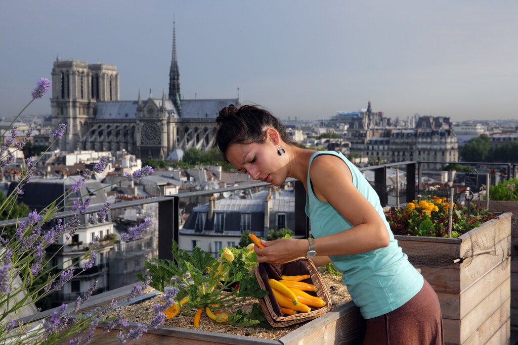 A women tends to her vegetables on a rooftop farm in an urban environment
