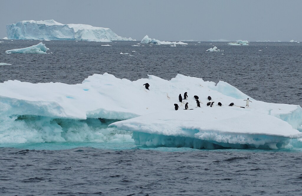 Top nature and climate news: Rate of global sea level rise has doubled in the past decade; India's development at risk from extreme heat; and more.