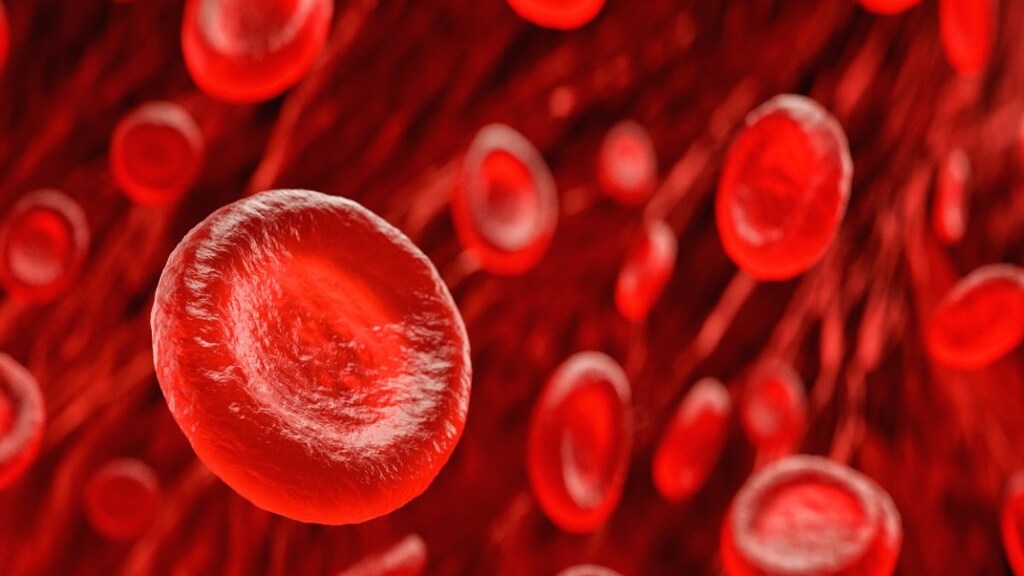 The two main blood group systems: the AB system and the rhesus system.