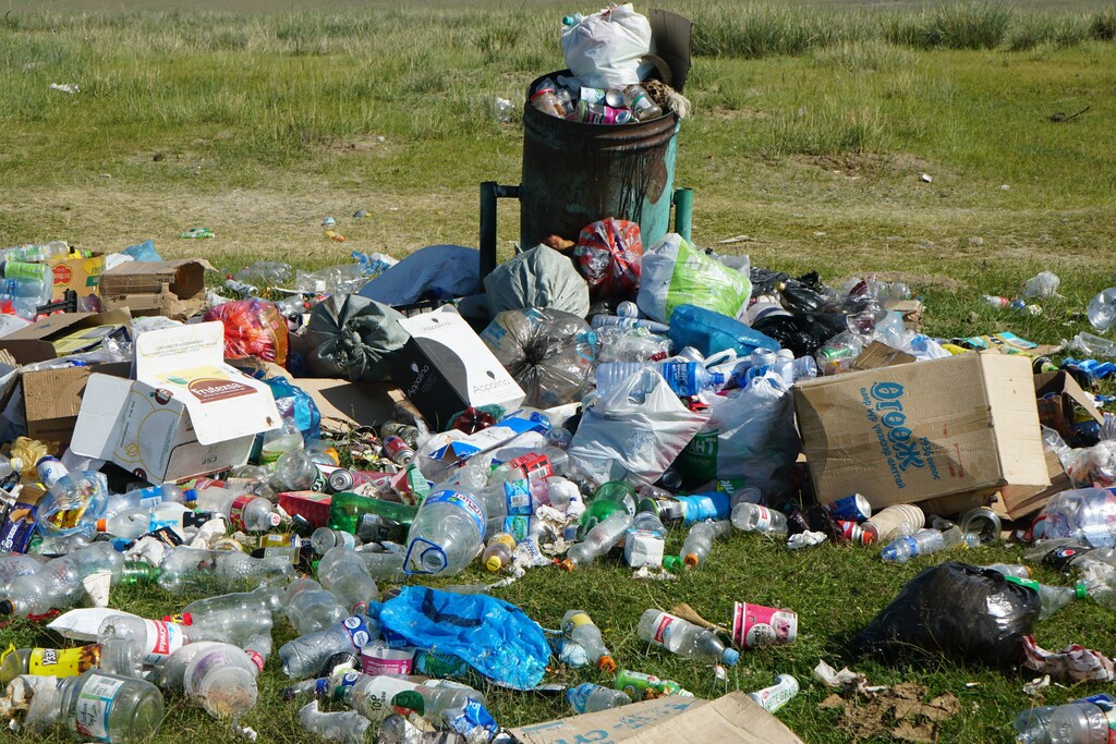 Plastic-degrading fungi and bacteria can break down the plastic waste and help to save the environment globally.