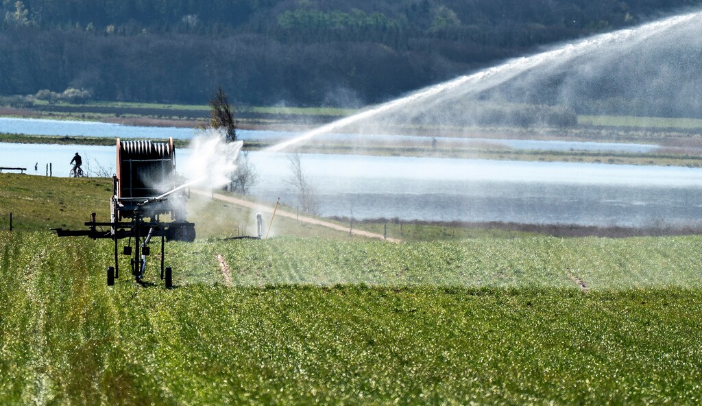Agriculture is leading illegal water extraction across the world.