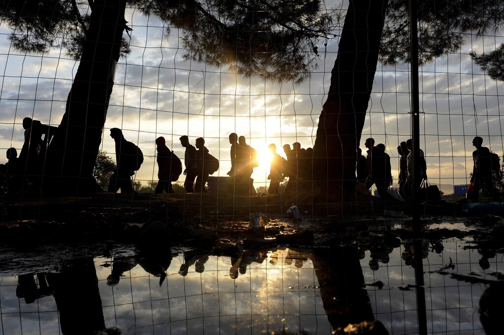 Syrian refugees walk towards Greece's border with Macedonia, near the Greek village of Idomeni, September 14, 2015.