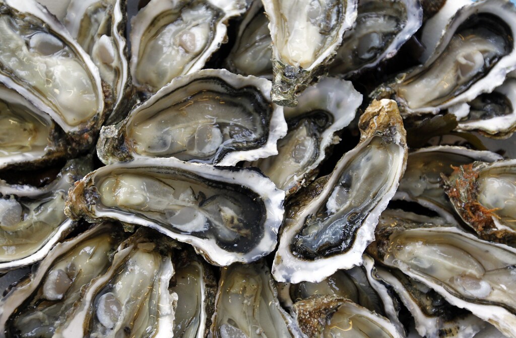 Freshly-opened oysters from the Bassin d'Arcachon are displayed by an oyster farmer in Andernos-les-Bains near Bordeaux, south-western France, December 19, 2012 ahead of the Christmas and New Year holiday season. REUTERS/Regis Duvignau (FRANCE - Tags: AGRICULTURE FOOD) - PM1E8CJ1CM101