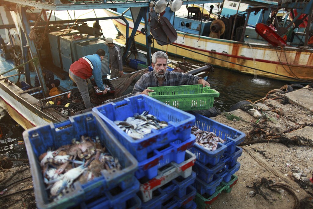 In recent years, certifications such as “sustainable seafood” or “sustainably-caught seafood” have risen in popularity.