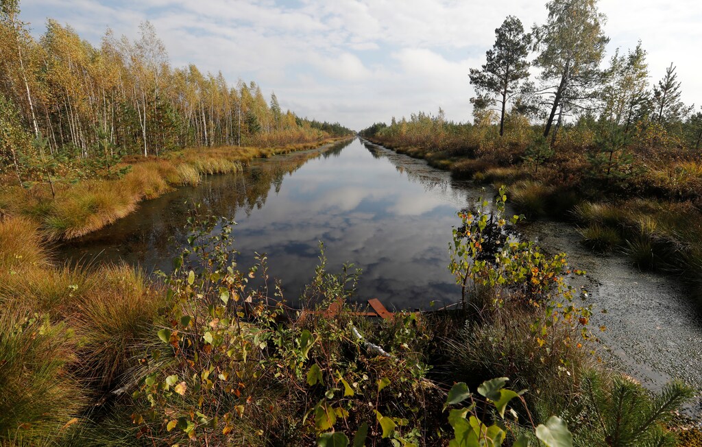 a picture of a marsh hi-lighting the prevalence of peatlands across the world