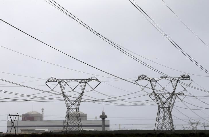 Electricity pylons carry power from Cape Town's Koeberg nuclear power plant August 13, 2015. REUTERS/Mike Hutchings/File Photo