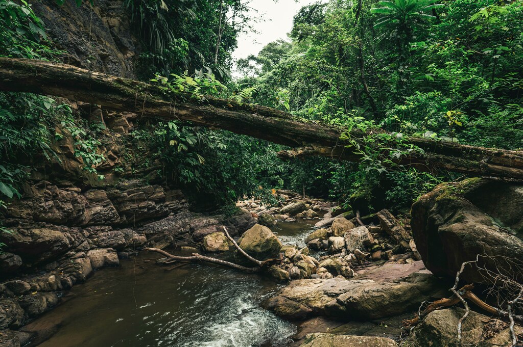 Raising awareness of the long-term benefits of a regenerative economy is key.