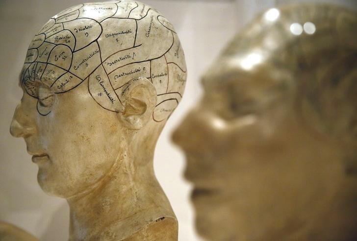 Plaster phrenological models of heads, showing different parts of the brain, are seen at an exhibition at the Wellcome Collection in London March 27, 2012. We've pickled it, dessicated it, drilled it, mummified it, chopped it and sliced it over centuries, yet as the most complex entity in the known universe, the human brain remains a mysterious fascination. With samples of Albert Einstein's preserved brain on slides, and specimens from other famous and infamous heads such as the English mathematician Charles Babbage and notorious mass murderer William Burke, an exhibition opening in London this week is seeking to tap into that intrigue. The exhibition Brains: The Mind As Matter runs from March 29 to June 17. REUTERS/Chris Helgren (BRITAIN - Tags: SCIENCE TECHNOLOGY SOCIETY HEALTH)