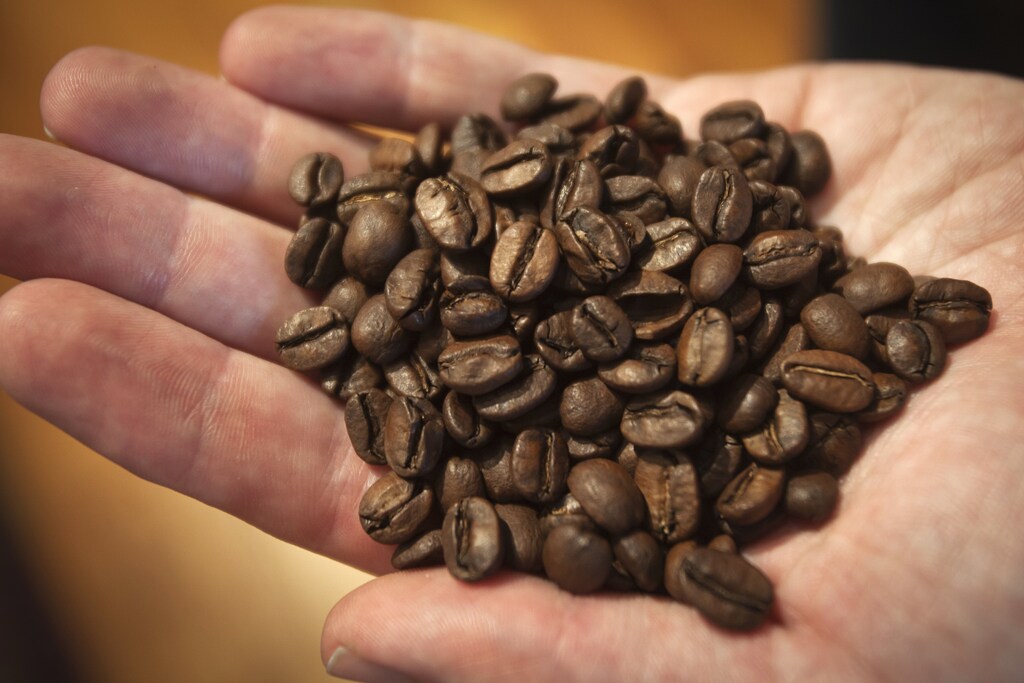 Dan Streetman, vice president of wholesale and coffee buyer for Irving Farm Coffee Roasters, holds a handful of La Bendicion coffee beans from Nicaragua at Irving Farm in the Manhattan borough of New York September 23, 2014. For the first time in three years, Streetman is buying coffee beans in bulk from Colombia, exploiting low comparative prices and reflecting new flexibility by U.S. roasters who had become over reliant on a single country for premium arabica. Streetman, the buyer for New York City-based specialty roaster and retailer Irving Farm Coffee Roasters, stopped ordering from the South American country in 2011 as disease devastated crops, supplies became erratic and prices soared. Instead he bought more from El Salvador, Guatemala and Honduras. Now, leaf rust fungus, known as roya, is threatening Central America's crops, lifting the cost for many of those grades above Colombia's for the first time in more than eight years, according to Reuters data on physical coffee prices, which are expressed as differentials above or below New York futures. To match story USA-COFFEE/ROASTERS Picture taken September 23, 2014. REUTERS/Carlo Allegri (UNITED STATES - Tags: BUSINESS AGRICULTURE COMMODITIES) - GF2EA9N1JLO01