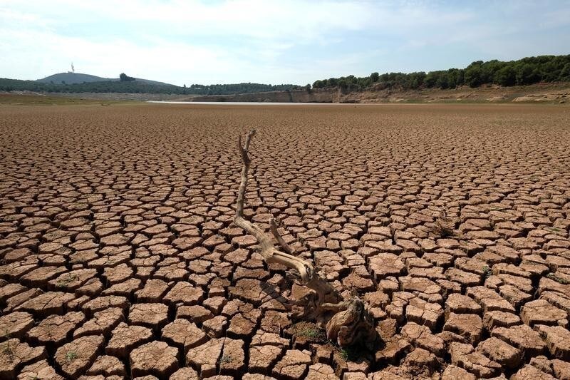 The remains of a dead tree are pictured at the almost empty Maria Cristina water reservoir during a severe drought near Castellon, Spain, September 14, 2018.