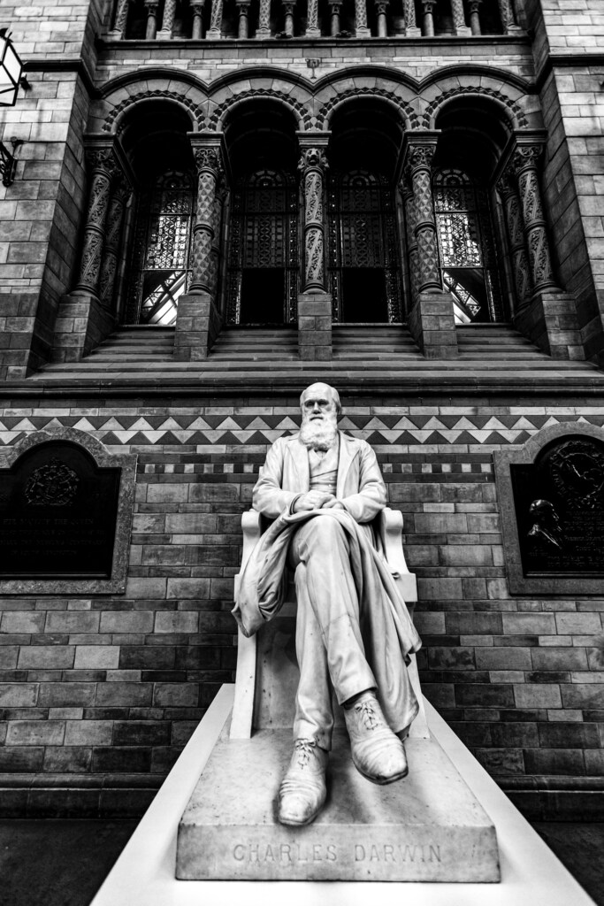 a statue of Charles Darwin