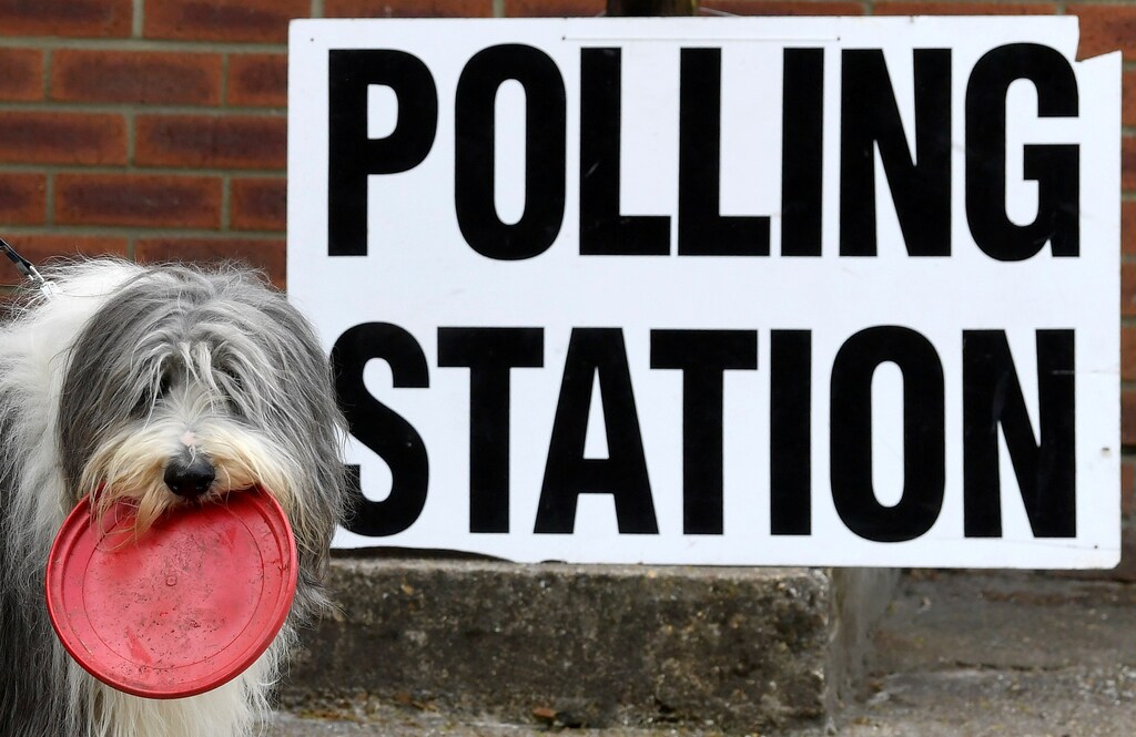 A dog is pictured outside a polling station, where Britain's Prime Minister Theresa May voted in the European Parliament Elections, in Sonning, Britain, May 23, 2019. REUTERS/Toby Melville TPX IMAGES OF THE DAY - RC1F16550840