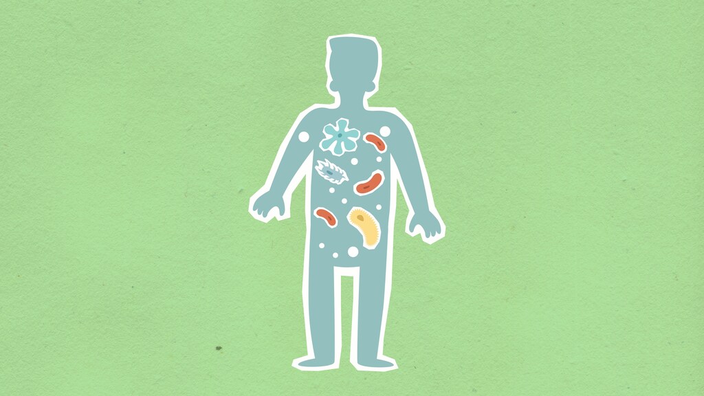 A graphic showing microbes in a persons body.