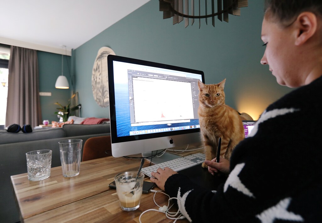 A woman works in a house while workers are forced to work from home and demand payback for extra home office costs during the coronavirus disease (COVID-19) outbreak in Sassenheim, Netherlands October 2, 2020. Picture taken October 2, 2020. REUTERS/Eva Plevier - RC2HDJ9QIL6L