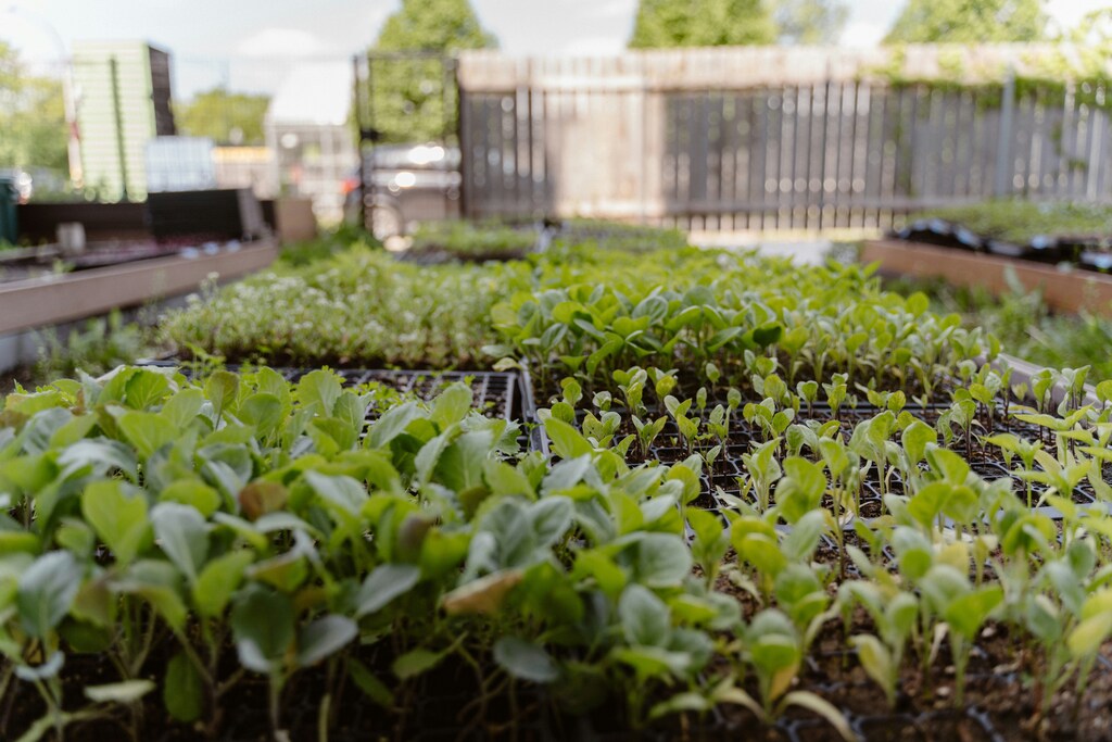 The World Economic Forum has just named green nitrogen fixation as one of its Top 10 Emerging Technologies of 2025.