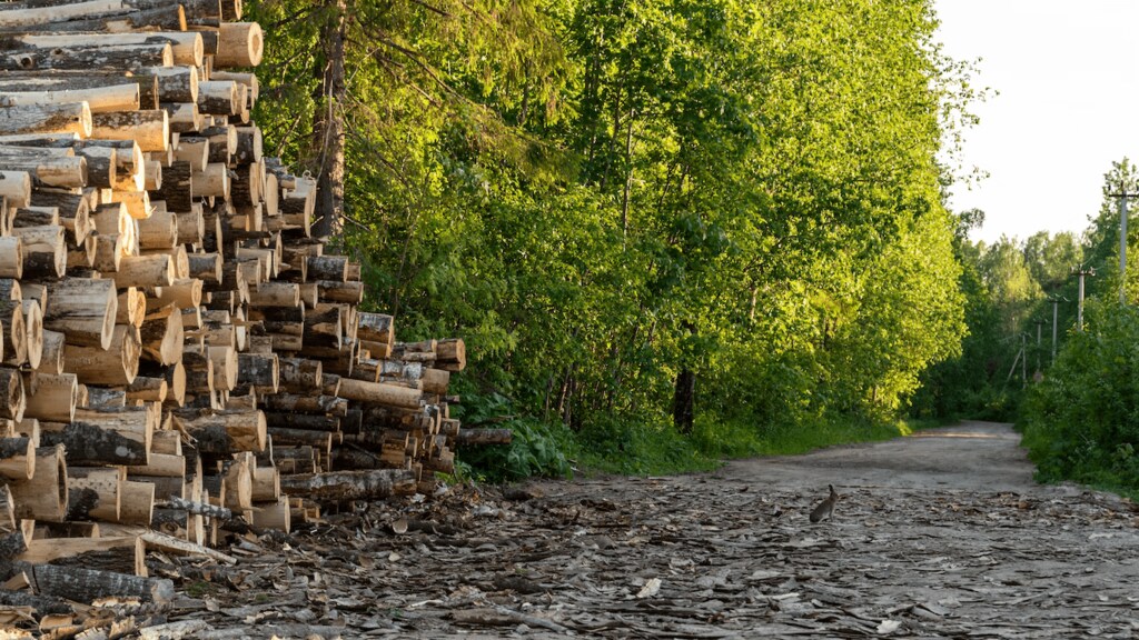 A pile of logs in a rural setting