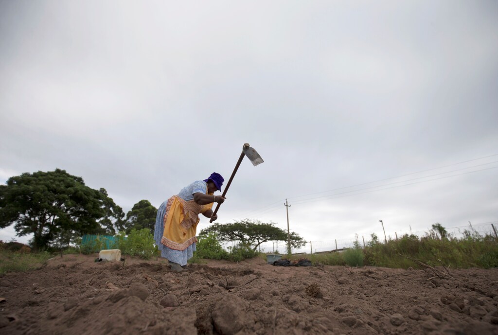 A woman works in a communal vegetable garden in KwaNdengezi, South Africa January 31, 2018. REUTERS/Rogan Ward - RC13602BA830