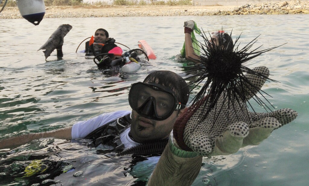 A diver holds up a sea urchin retrieved during a deep sea dive as part of the "Clean-Up Arabia" environmental campaign in Fujairah November 6, 2010. The annual campaign is aimed at cleaning local dive sites and beaches, with volunteers collecting garbage, consisting mainly of fishing nets, plastic and metal waste, from the shores and ocean. REUTERS/Jumana El-Heloueh (UNITED ARAB EMIRATES - Tags: ENVIRONMENT ANIMALS SOCIETY) - GM1E6B61TI301