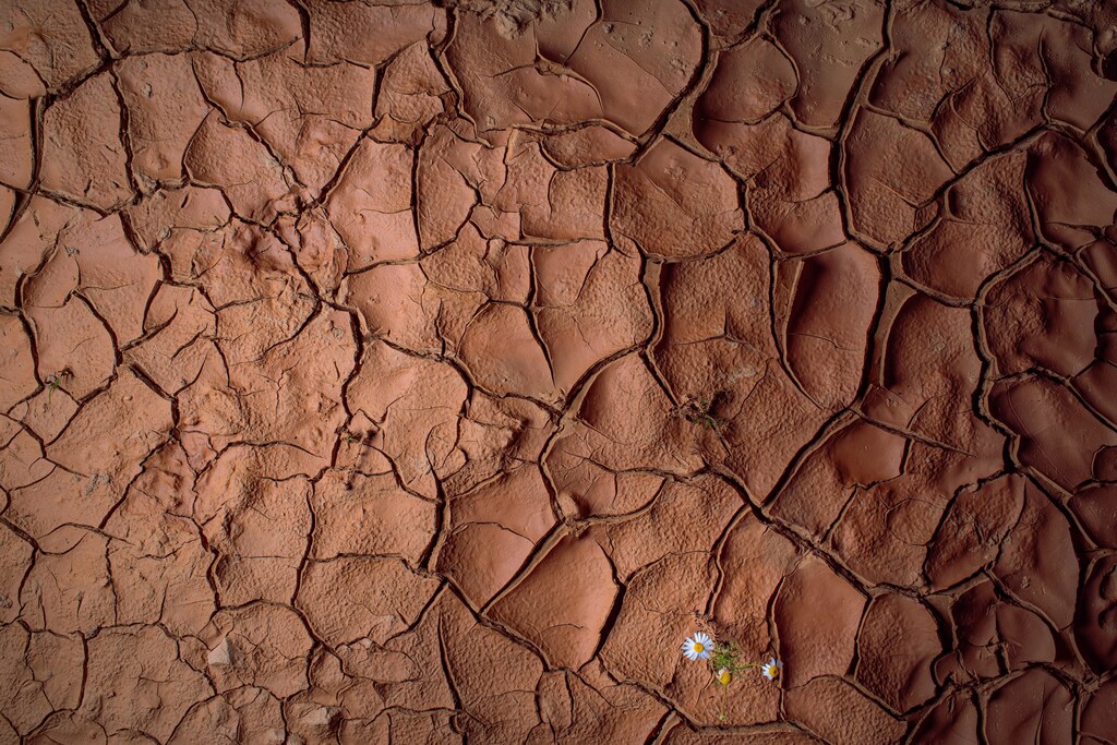 Pictured here is severely dry land as a result of drought in Africa, possibly caused by climate change.