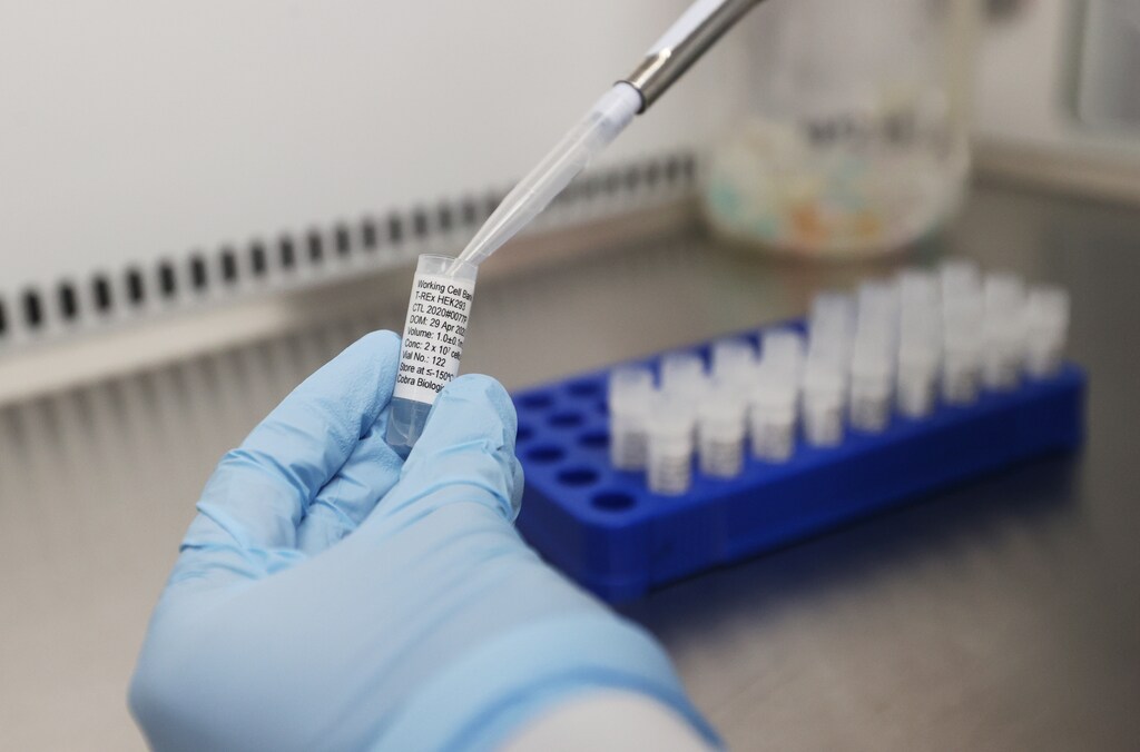 Scientists at Cobra Biologics, Keele, Britain work on a potential vaccine for COVID-19.