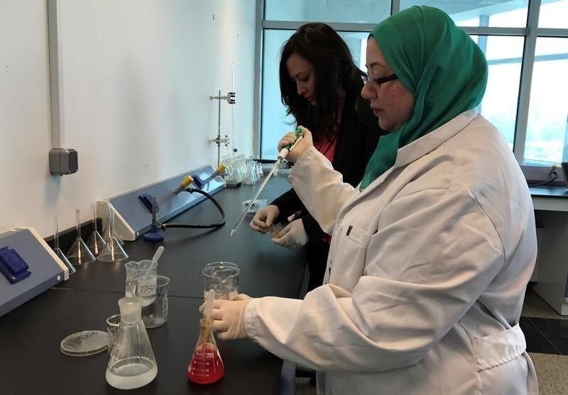 Assistant professor Irene Samy and researcher Marwa Faisal work on their project to create biodegradable plastic bags from shrimp shells, a project in collaboration with Nottingham University, at the Nile University in Cairo, Egypt February 28, 2017.