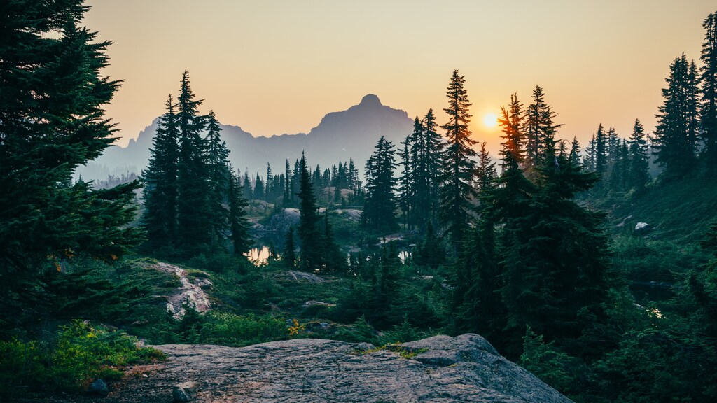 Excessive use of the world’s resources means it is more urgent than ever that industry becomes nature-positive.