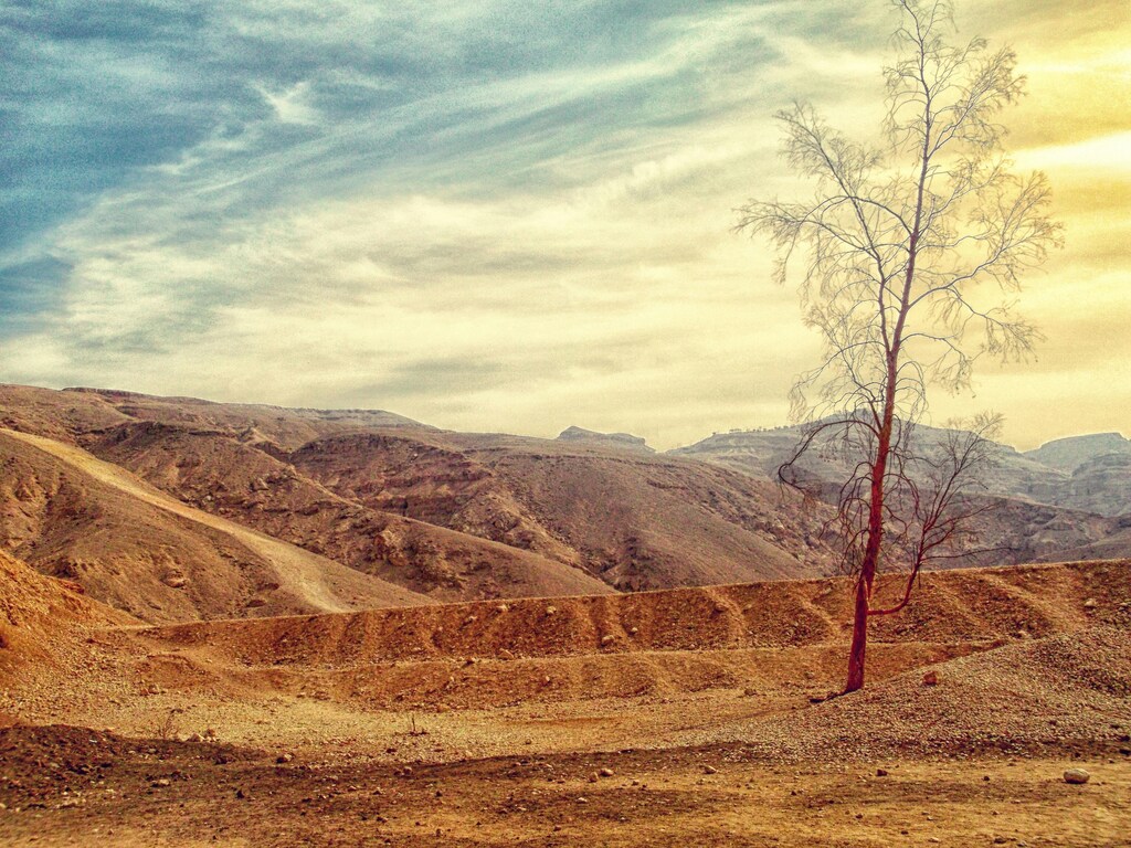 Climate change leading to spread of diseases like malaria, dengue, and West Nile virus to new regions, posing increased health risks globally