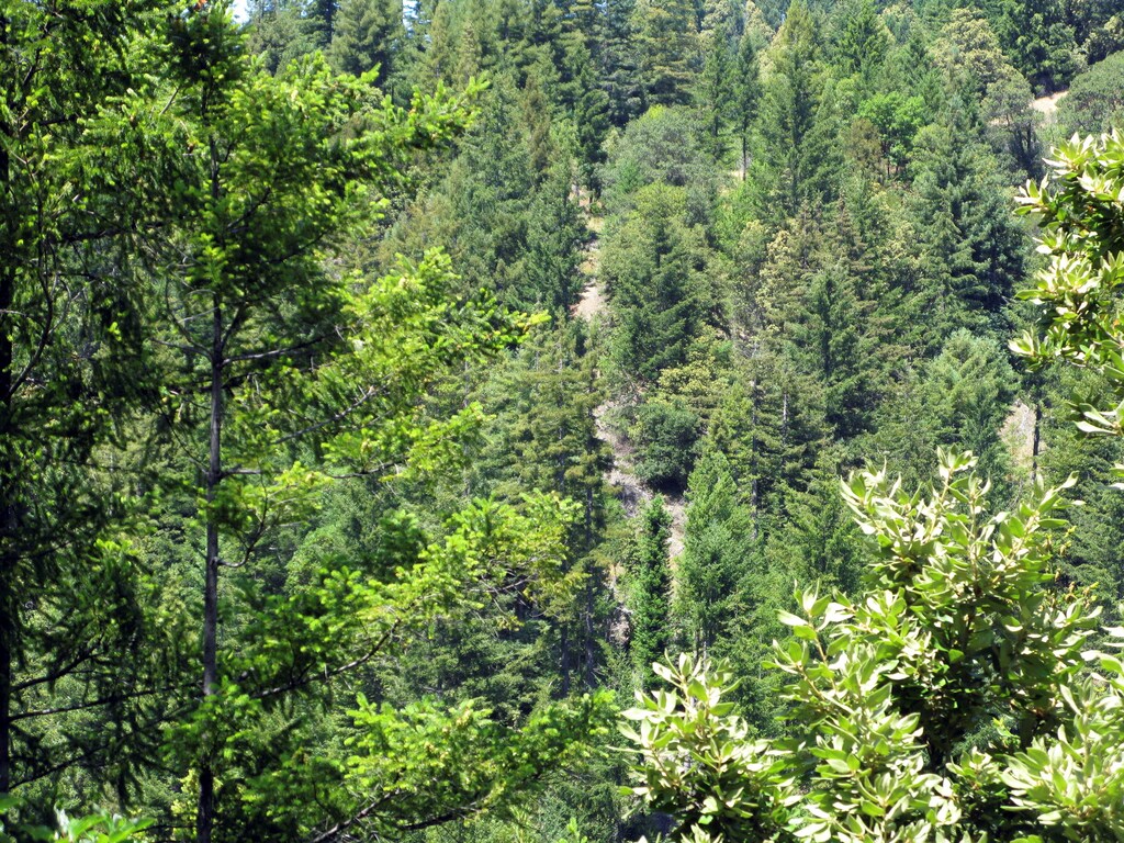 $133 billion a year flows into nature, but we will need to at least triple this by 2030 if the world is to meet its climate change, biodiversity, and land degradation targets..