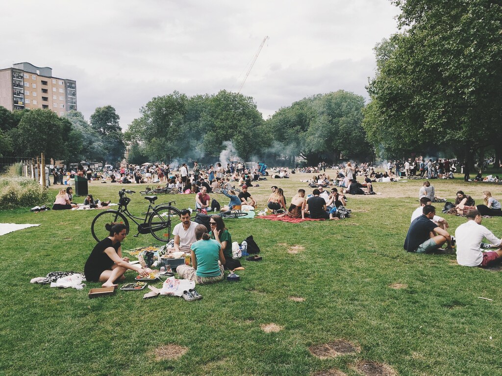 people having picnics in an urban park