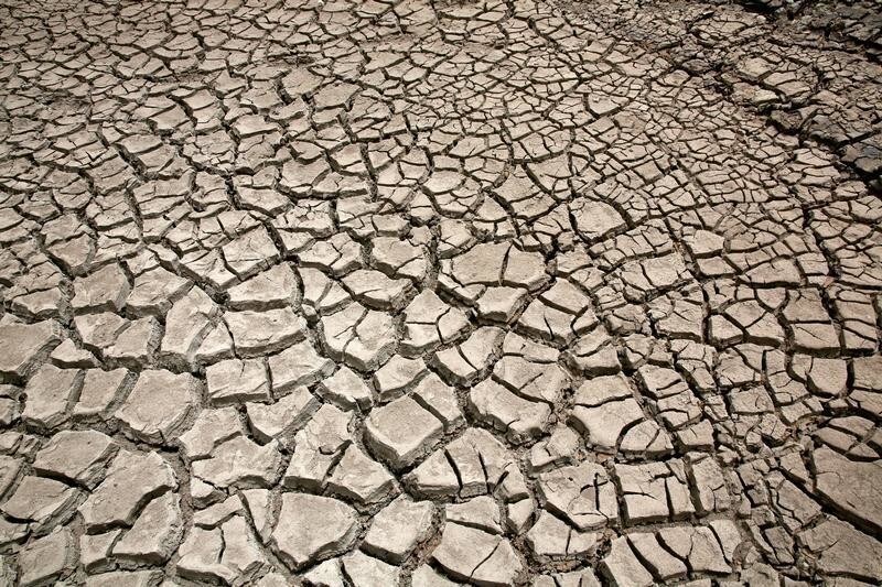 Cracked ground is pictured at the dried Ajuan Khota dam, a water reserve affected by drought near La Paz, Bolivia, November 17, 2016.Picture taken in November 17, 2016. REUTERS/David Mercado - RTX2UCSP