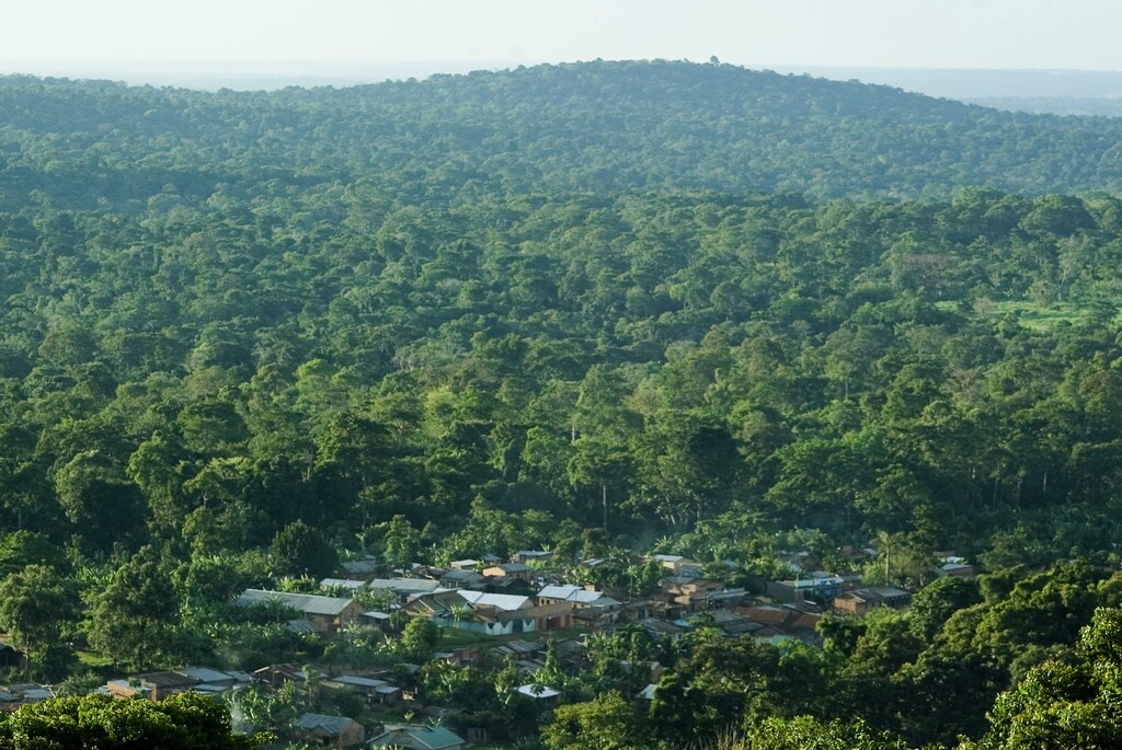 An aerial view of a settlement in Mabira Forest Reserve, 55km (34 miles) east of the capital Kampala, April 21, 2007. Uganda has suffered violent protests in recent weeks over government plans to give at least 7,100 hectares (17,500 acres) of Mabira Forest, a nature reserve since 1932, to a sugar cane company. To match feature UGANDA-FOREST/ REUTERS/James Akena (UGANDA) - GF1DVCOAXOAA