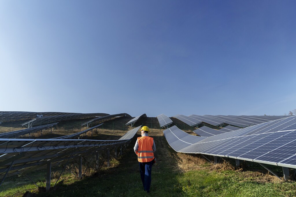 man walking through solar farm.
