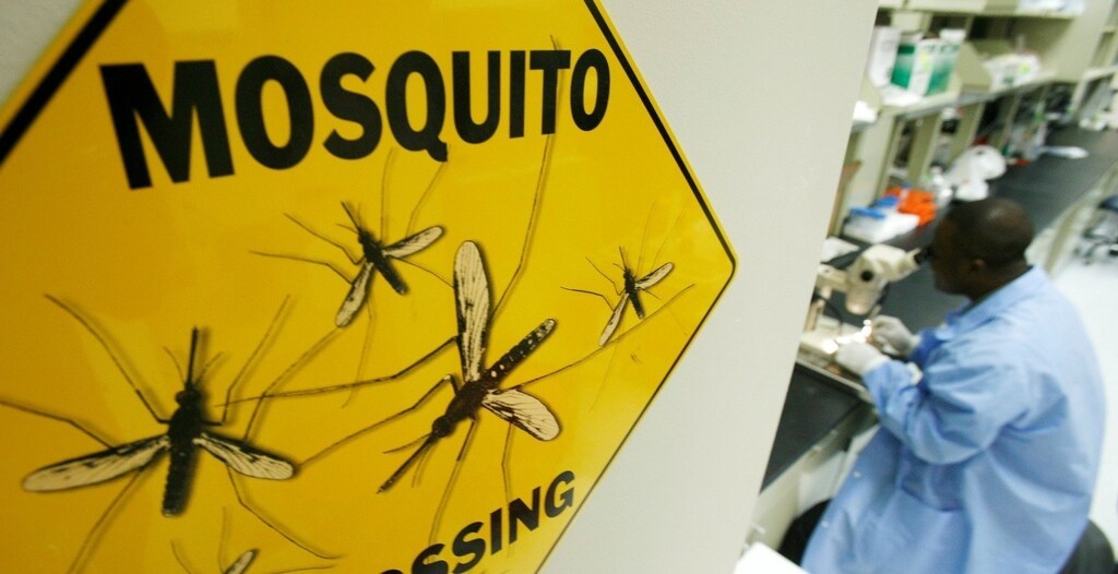 Worker Solomon Conteh dissects a mosquito at Sanaria Inc. facility in Rockville, Maryland, October 26, 2007