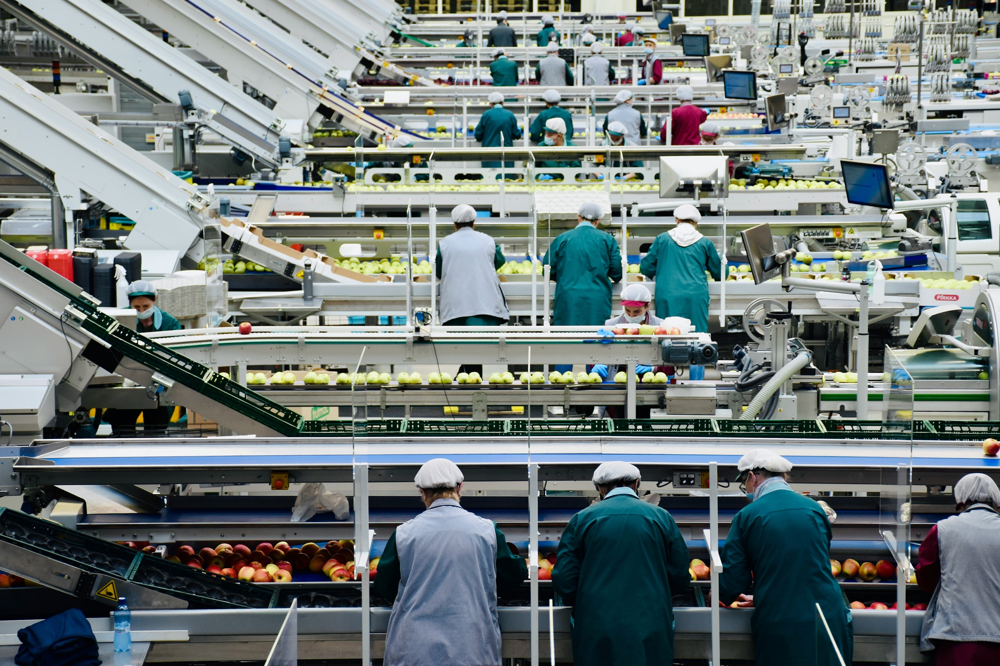 People packaging fruit in a factory, illustrating the importance of labour in the supply chain