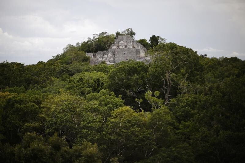 Part of the Calakmul Estructure II pyramid is seen at the Calakmul Biosphere Reserve in Campeche July 12, 2014. One of the most important cities of Mayan civilization, Calakmul, has been named by UNESCO as Mexico's first "mixed natural and cultural" World Heritage Site. The ancient city in Mexico's southern state of Campeche, was once home to more than 50,000 inhabitants and played a key role in the history of this region for more than 12 centuries. The Ancient Maya City of Calakmul was already added to UNESCO's World Heritage Sites list in 2002 but the Protected Tropical Forests of Calakmul have recently been added together with the city to make up the first "mixed natural and cultural" site in Mexico. Picture taken July 12, 2014. REUTERS/Bernardo Montoya (MEXICO - Tags: SOCIETY TRAVEL TPX IMAGES OF THE DAY) - GM1EA7F0DW601