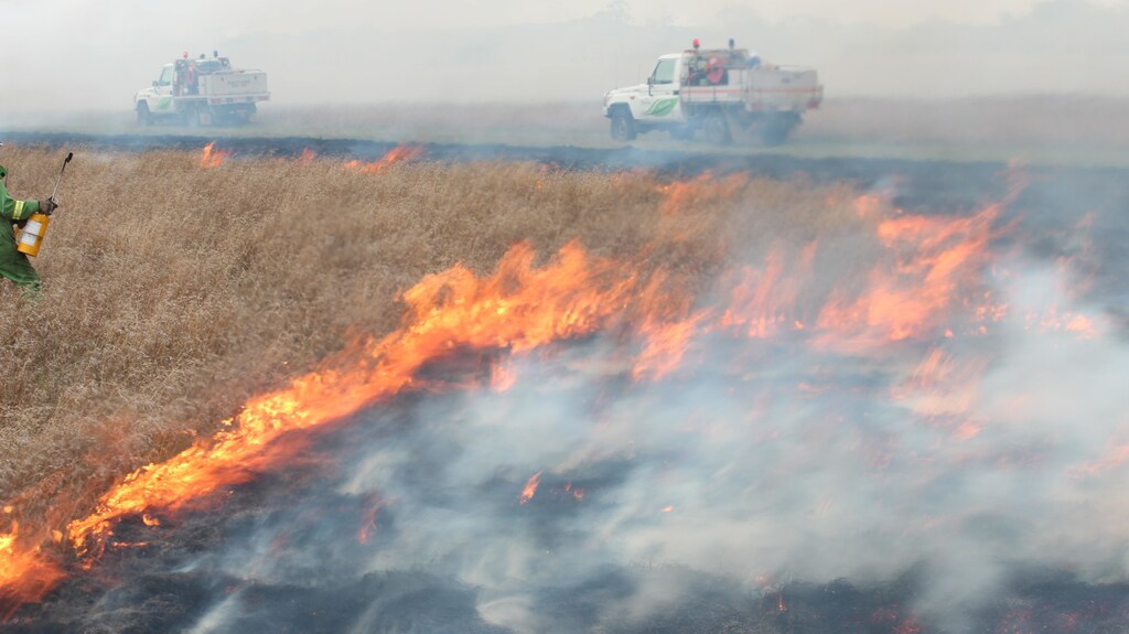 wildfire bushfire indigenous knowledge