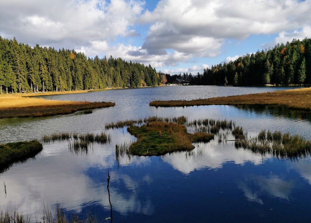 A lake surrounded by trees. Groundwater is water that has found its way down from the Earth’s surface.