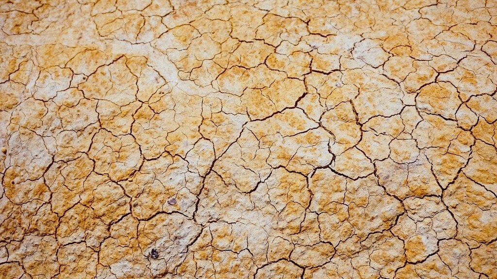 Photo of cracked earth as a result of ongoing drought.